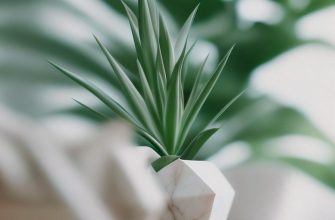 effektivnye metody dlya sozdaniya uyutnogo prostranstva