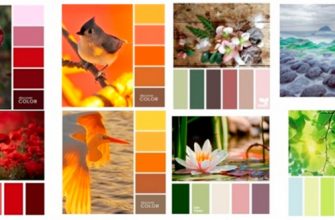 ispolzovanie osnovnyh tsvetov kak formy