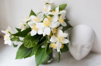 kak adaptirovat tsveti dlya sozdaniya nastroeniya