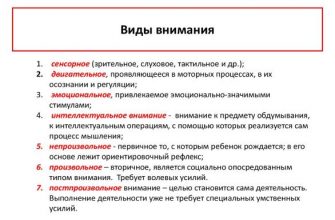 kak ispolzovat vizualnye harakteristiki dlya razvitiya lichnosti