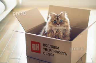 kak organizovat pereezd bez stressa poleznye sovety po upakovke i raspakovke doma