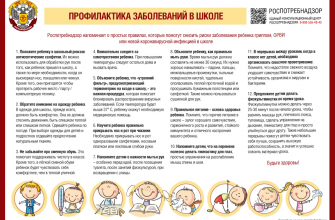 kak sozdat prostranstvo gde kazhdyy chuvstvuet sebya komfortno