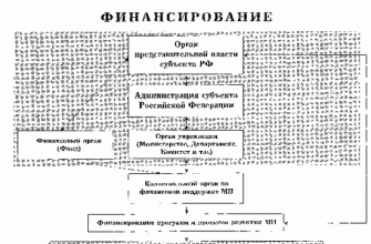 kak sozdat vizualizatsiyu o podderzhke malyh predpriyatiy