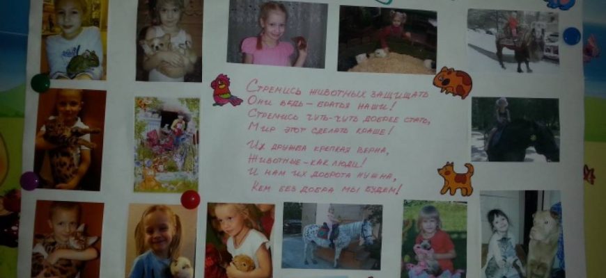 kak sozdat zastavku dlya zhizni v svoem proekte