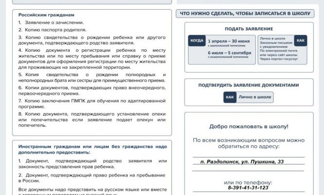 kak vizualizirovat dannye dlya predstavleniya v shkolah