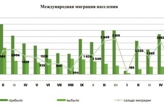 kak vizualizirovat dannye o migratsii naseleniya