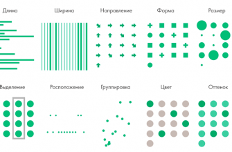 kak vizualizirovat dannye o rekreatsii i dosuge