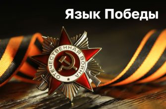 kak vizualizirovat dannye o volonterskih proektah