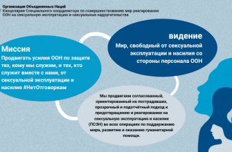 kak vizualizirovat dannye o volonterskoy rabote