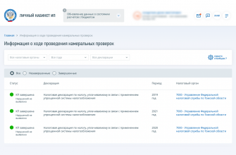 kak vizualizirovat dannye po nalogovoy politike