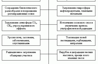 kak vizualizirovat izmeneniya na urovne globalnyh problem