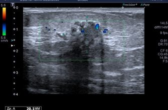 kak vizualizirovat sistemu obrazovaniya