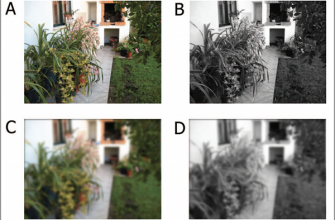 kak vizualnye harakteristiki vliyayut na vospriyatie dannyh