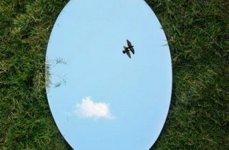 kak zadeystvovat otrazhayuschie poverhnosti