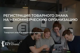 primery uspeshnoy vizualizatsii v nko