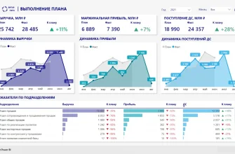 primery vizualizatsii uspehov kompaniy