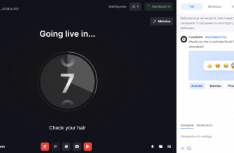 provedenie onlayn vebinarov po vizualizatsii dannyh