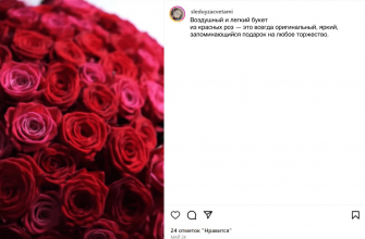rabotaya s tsvetami kak otpravit svoe soobschenie pravilno