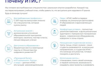 upravlenie faylami i elektronnoy pochtoy osnovy organizatsii vashey tsifrovoy zhizni