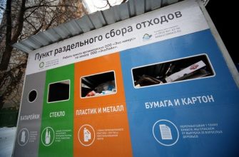 vizualizatsiya v ekologii kak eto rabotaet 1