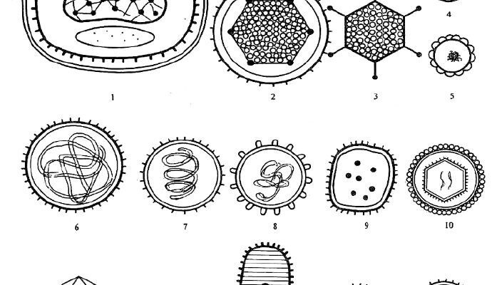 vizualnye harakteristiki i ih primenenie v biologii